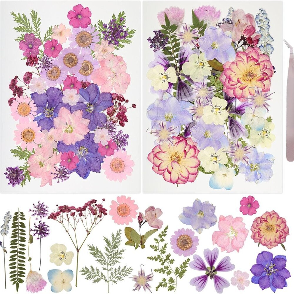 50Pcs Dried Pressed Flowers Resin Mould Real Pressed Flowers Natural Dry Leaves - Picture 1 of 6